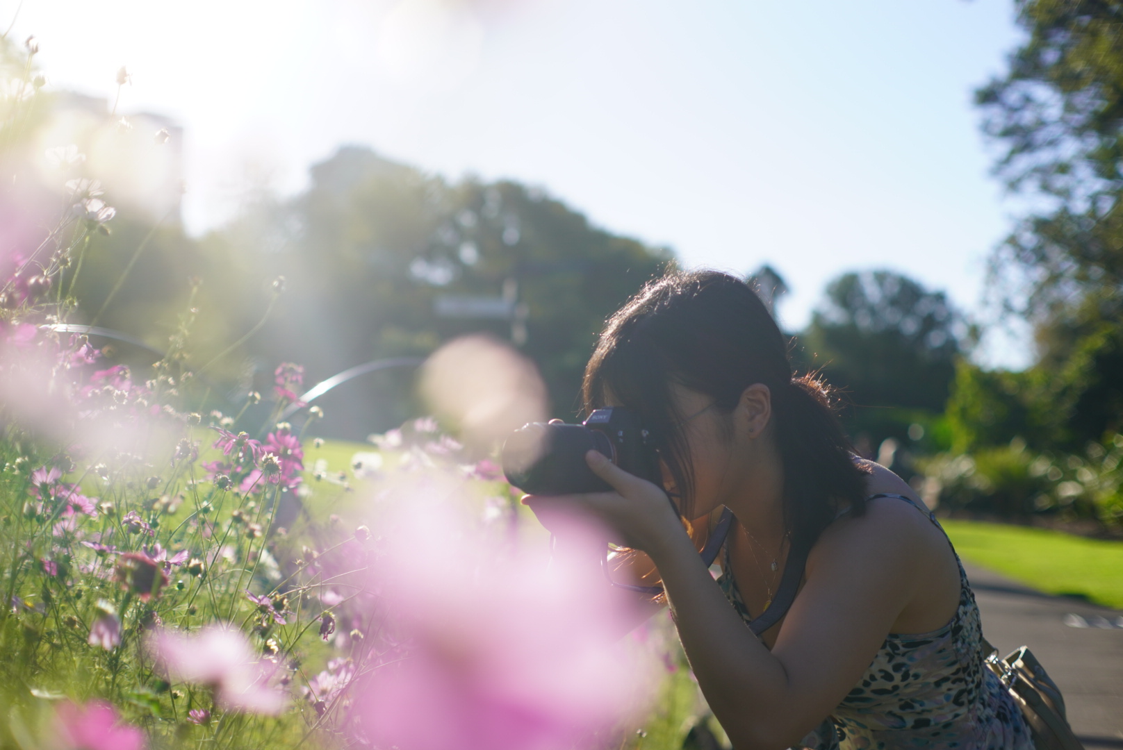 A picture of a bouquet with pink and white flowers