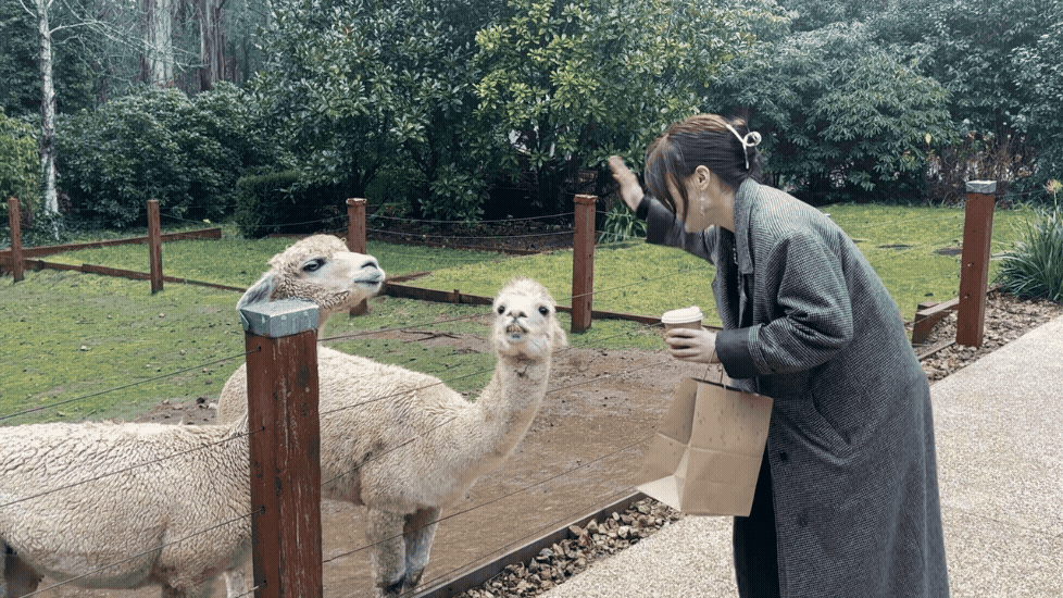 Yui and Alpaca at Dandenong