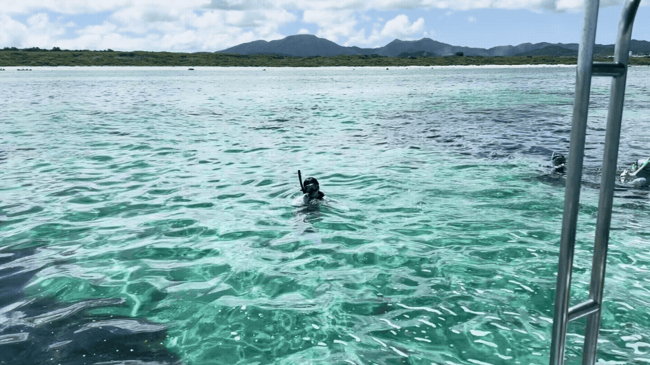 Snorkelling at Ishigaki